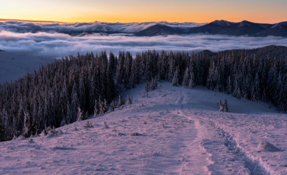 カルパティア山脈の冬の朝　冬のウクライナの風景