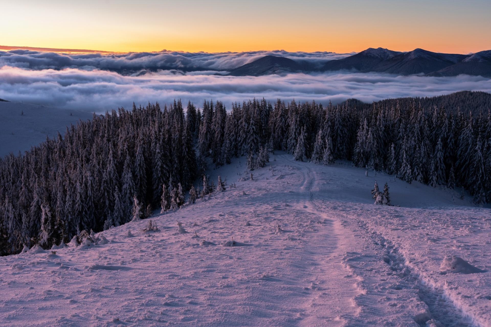 カルパティア山脈の冬の朝　冬のウクライナの風景