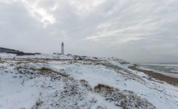 冬の海岸　デンマークの風景