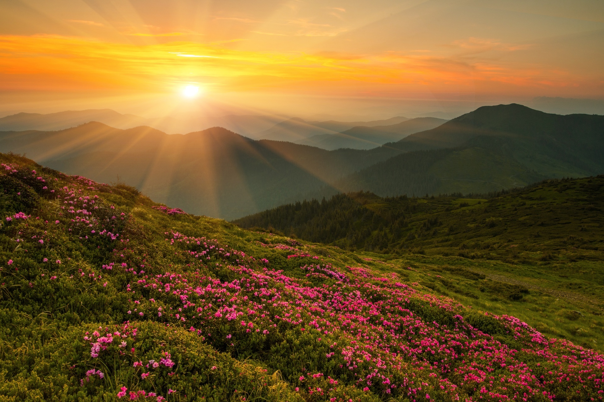 春のカルパティア山脈　ウクライナの風景