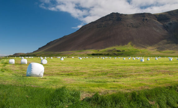 夏のレイキャネス半島　アイスランドの風景