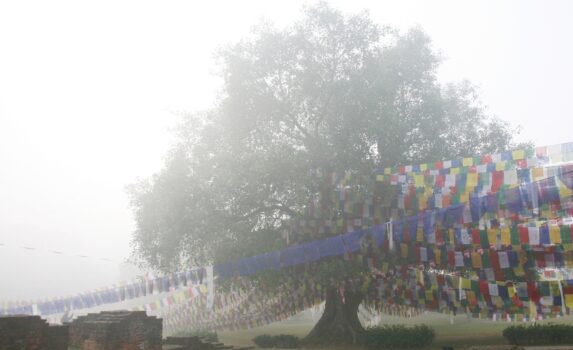 霧の朝のルンビニの風景　ネパールの風景