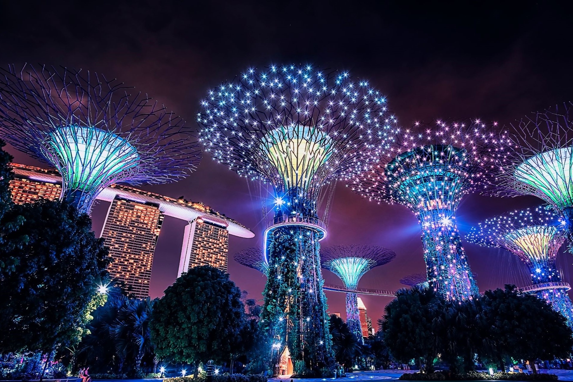 夜のガーデンズ・バイ・ザ・ベイ　シンガポールの絶景