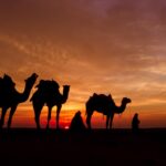 夕暮れの砂漠の風景　世界の絶景