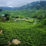 キャメロンハイランドの風景　マレーシアの風景