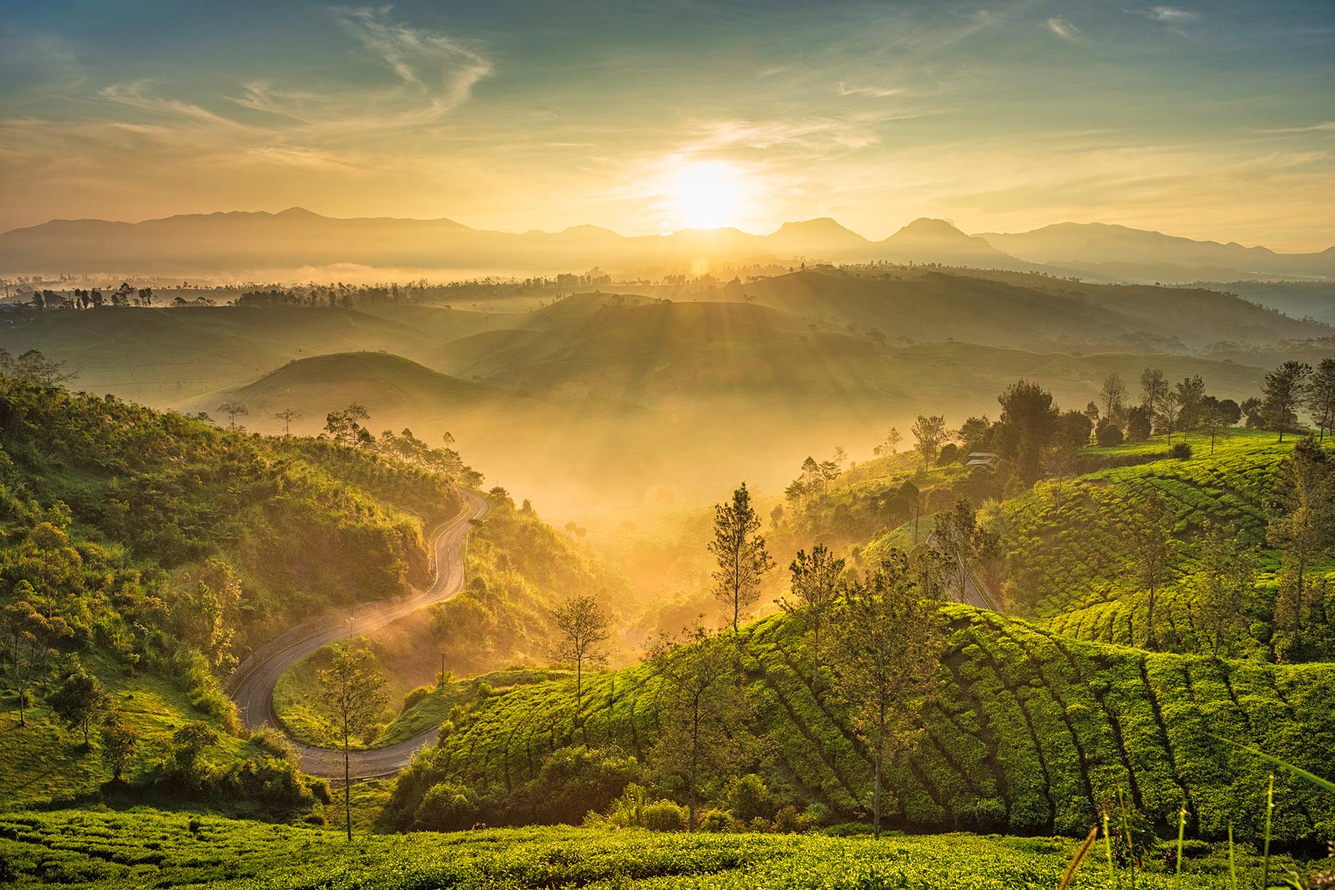 ジャワ島の朝の風景　インドネシアの風景