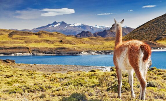 パタゴニアの風景　チリの風景