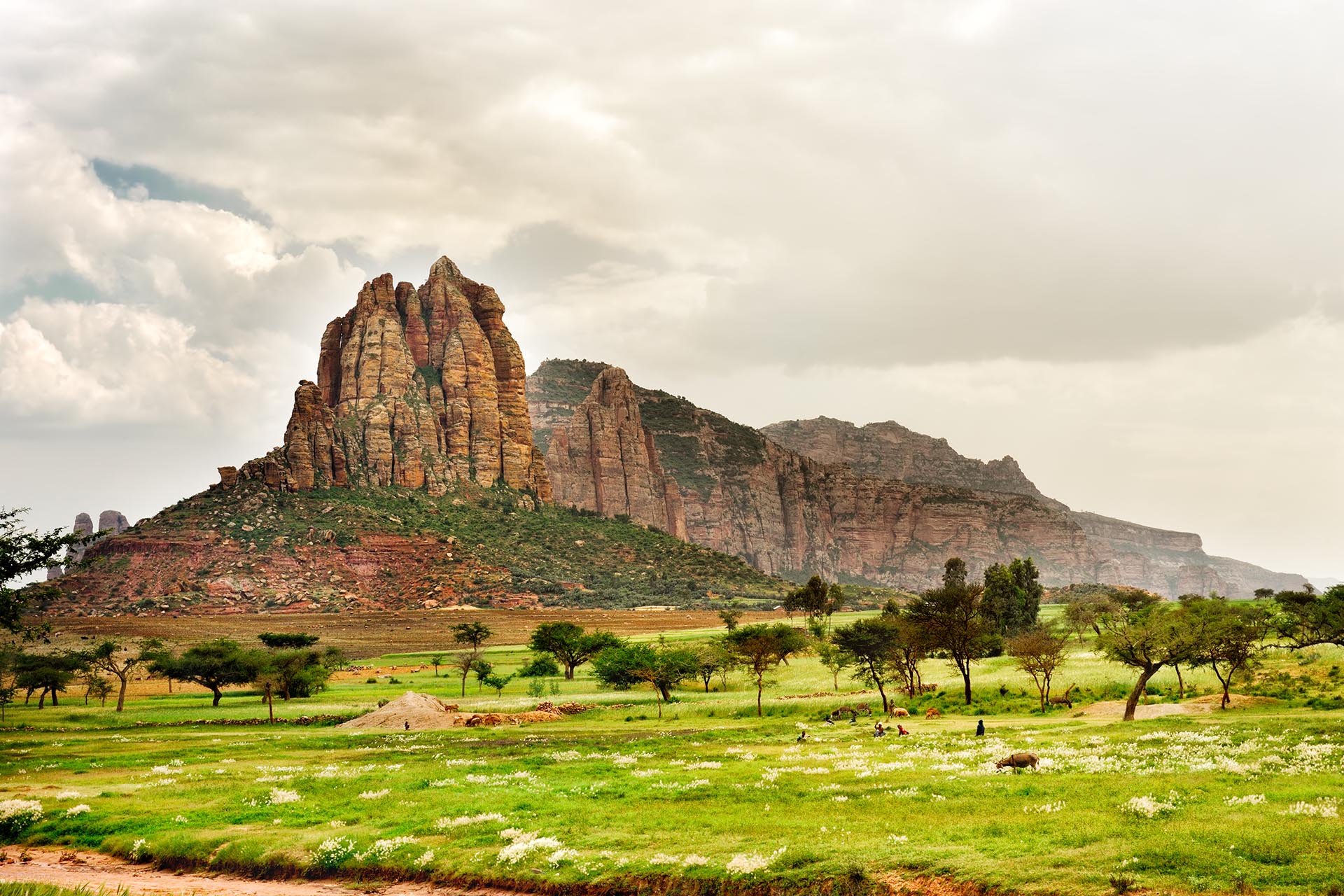 ティグレ州の風景　エチオピアの風景