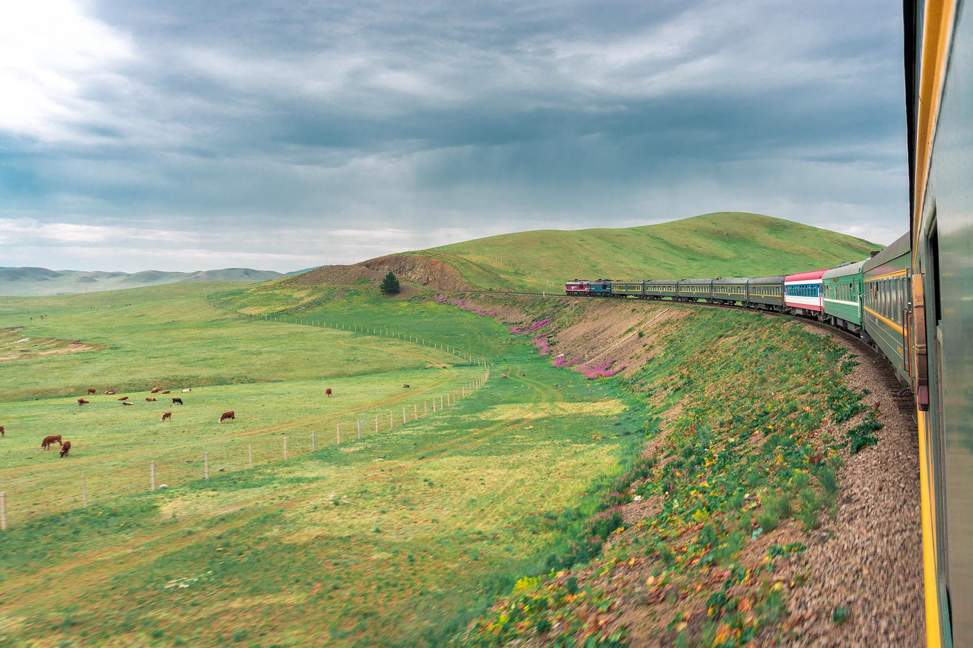 モンゴルの草原を走るシベリア鉄道　モンゴルの風景