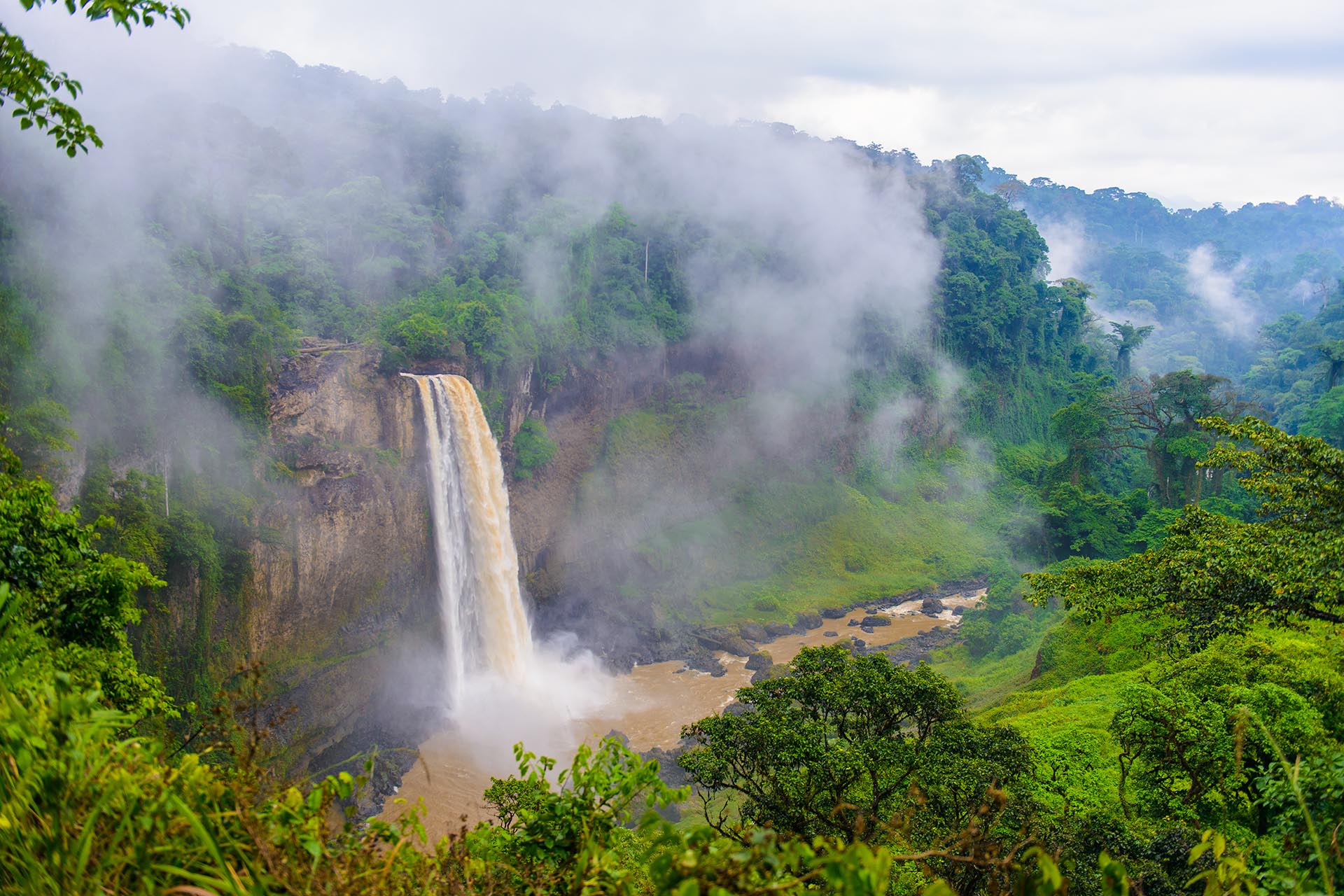 熱帯雨林の風景　カメルーンの風景