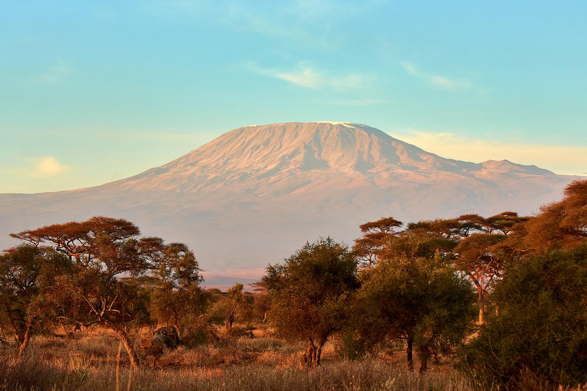朝のキリマンジャロ山　ケニアの風景