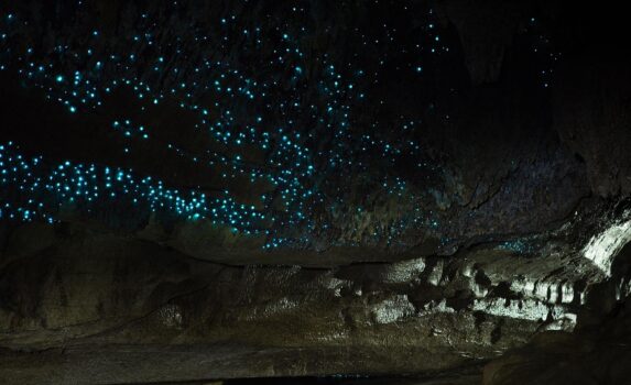ワイプ洞窟の絶景　ニュージーランドの風景