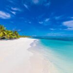 ヤシの木と白い砂浜　モルディブの風景