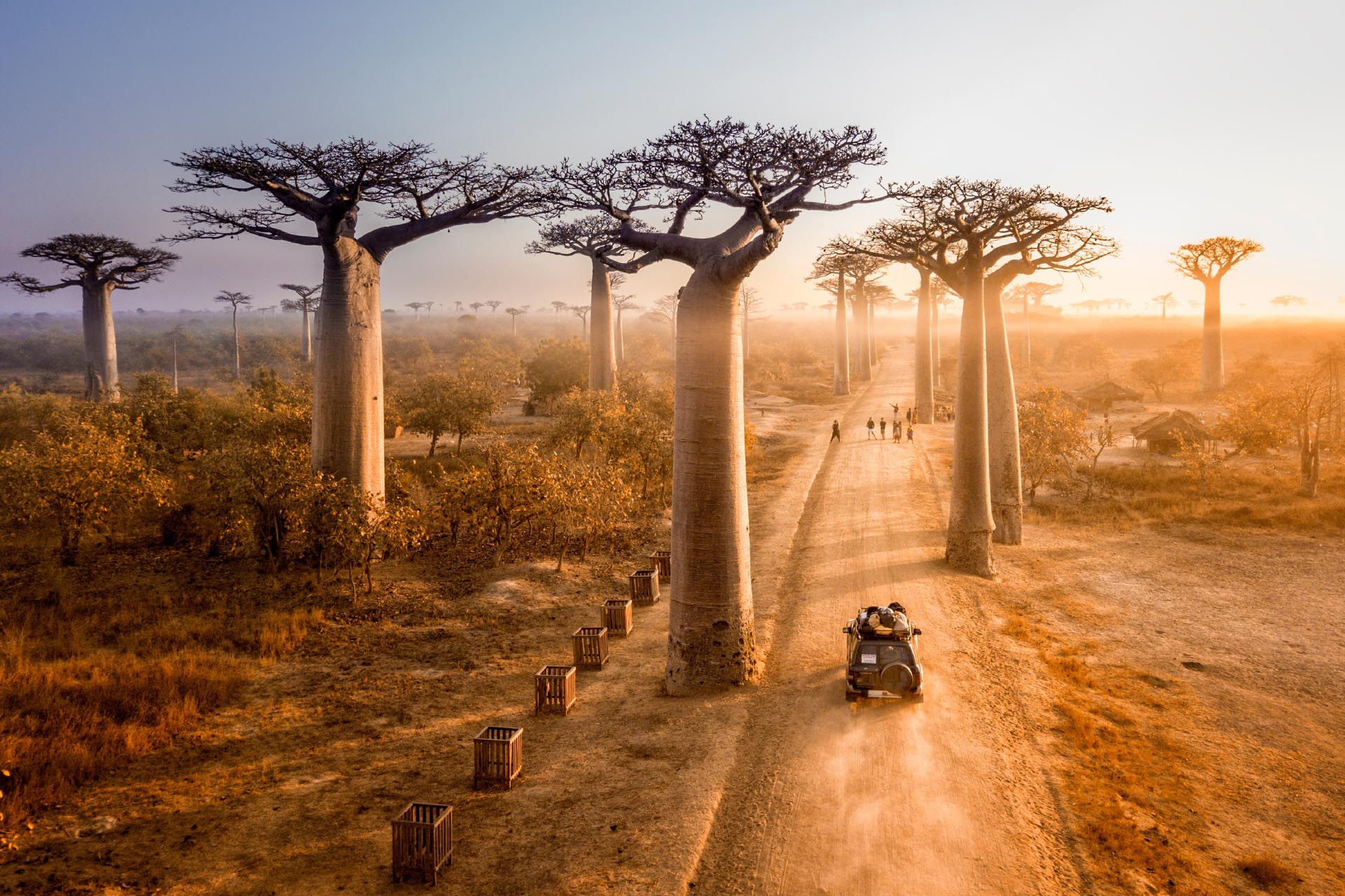 バオバブの木　マダガスカルの風景