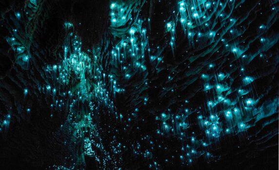 ワイトモ・グロウワーム洞窟の光景　ニュージーランドの風景