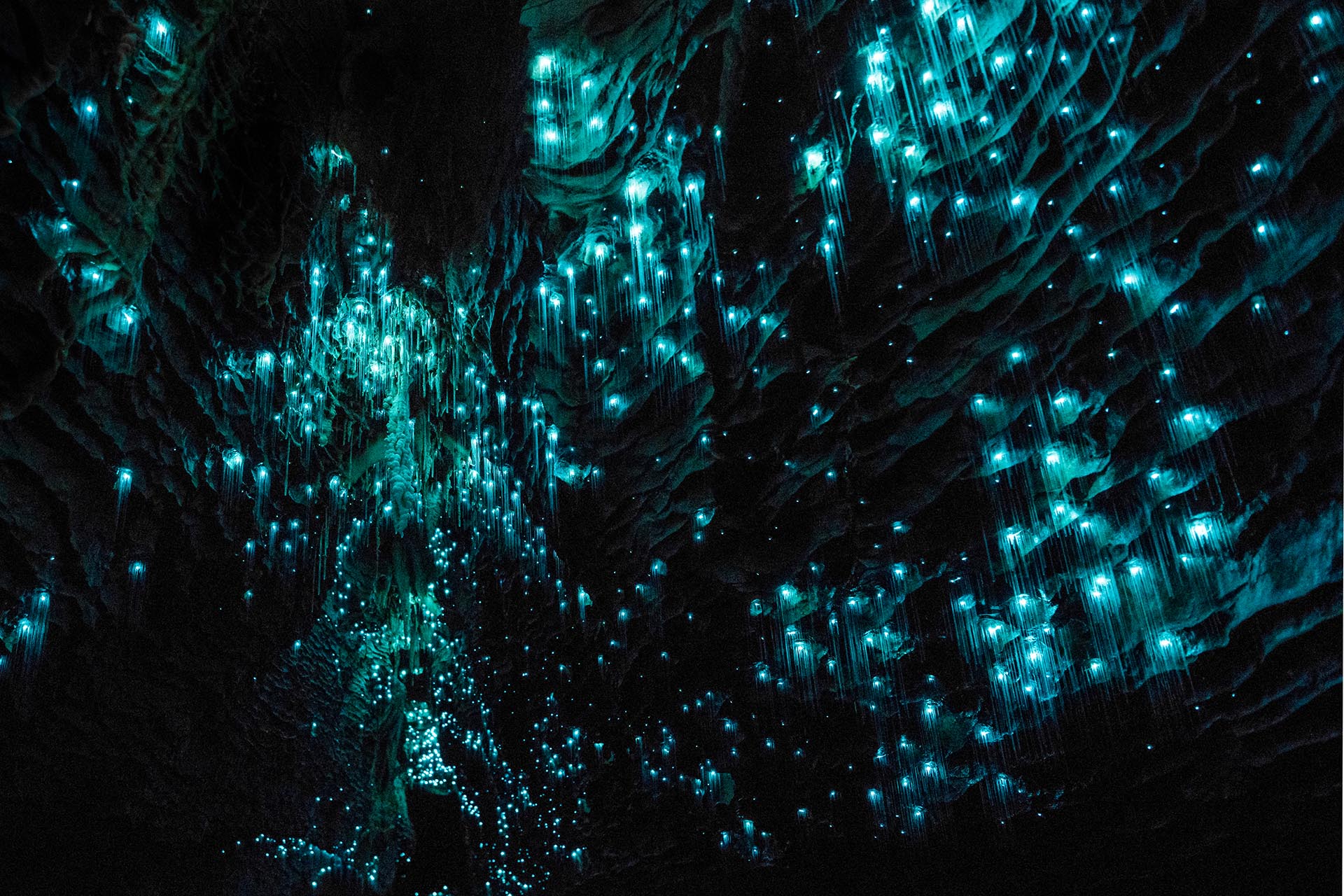 ワイトモ・グロウワーム洞窟の光景　ニュージーランドの風景