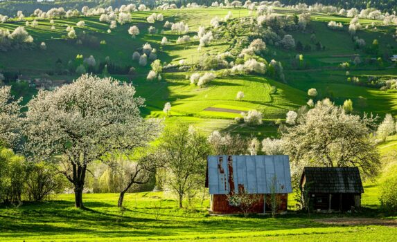 春の風景　スロバキアの風景