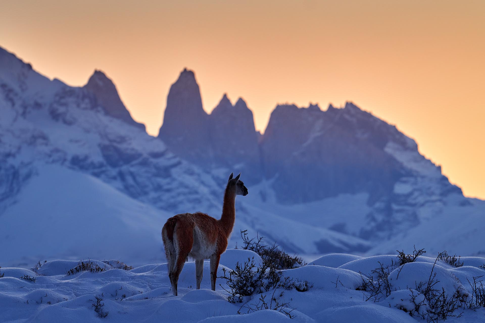 パタゴニアの絶景　チリの風景