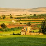 シリアの風景
