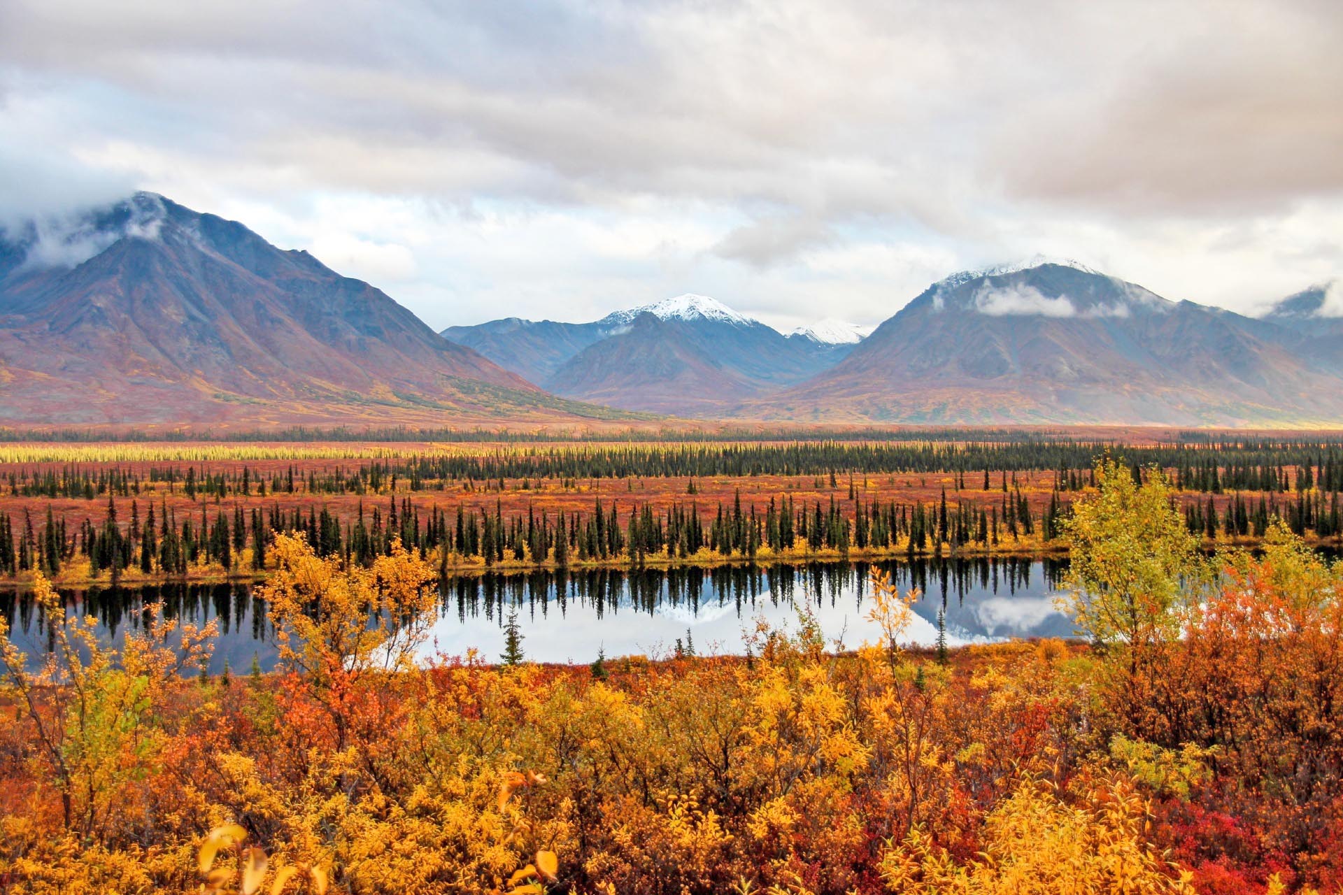 秋のデナリ国立公園　アラスカの風景　アメリカ合衆国の風景