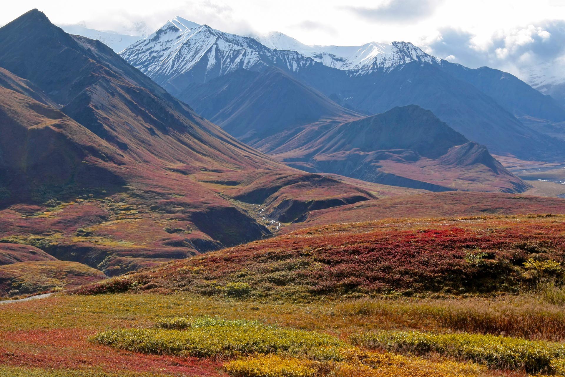 9月のアラスカ　デナリ国立公園　アメリカ合衆国の風景