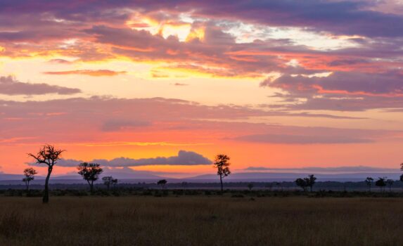 朝のマサイマラ国立保護区　ケニアの風景