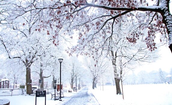 冬のケンブリッジ・コモン　アメリカの風景