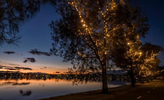 シドニーのクリスマスの風景　オーストラリアのクリスマス