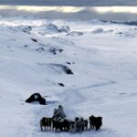 グリーンランドの犬ぞり　グリーンランドの風景