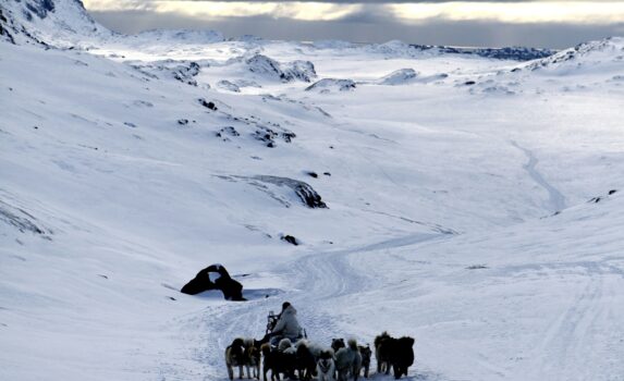 グリーンランドの犬ぞり　グリーンランドの風景