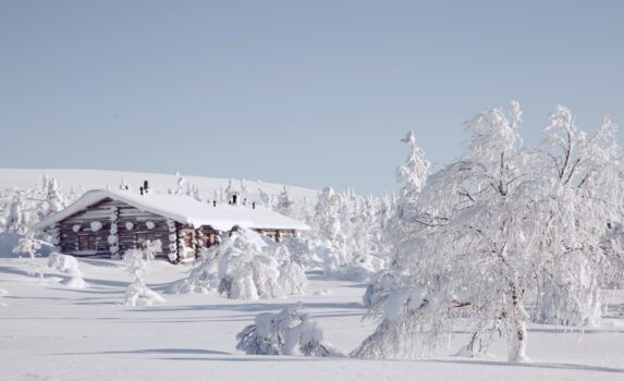 サーリセルカの冬景色　ラップランド　冬のフィンランド