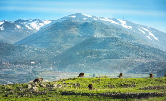 ゴラン高原の風景　イスラエルの風景
