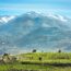 ゴラン高原の風景　イスラエルの風景