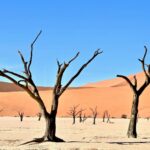 ナミブ砂漠の絶景　ナミビアの風景