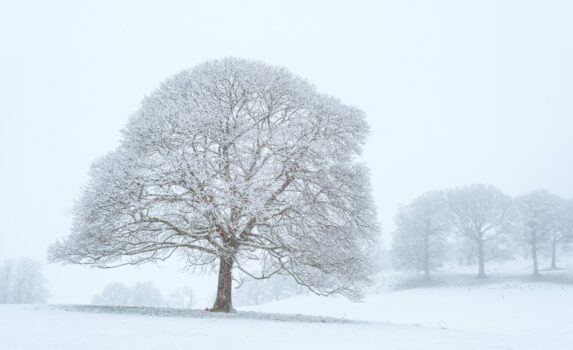 雪の湖水地方　冬のイギリスの風景