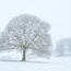 雪の湖水地方　冬のイギリスの風景