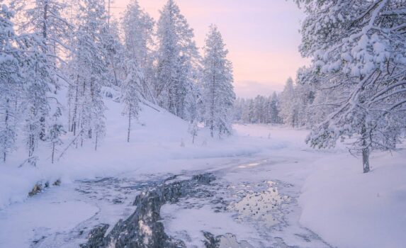 真冬の絶景　フィンランドの冬の風景