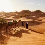 オアシスの町ムハミド・エル・ギズランの風景　モロッコの風景