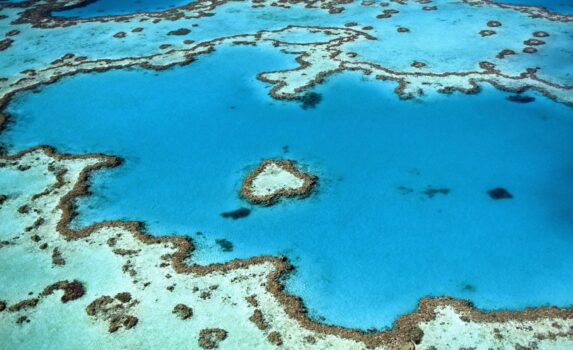 オーストラリアの海　サンゴ礁の風景　オーストラリアの風景