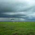 エロルサ近郊の風景　ベネズエラの風景