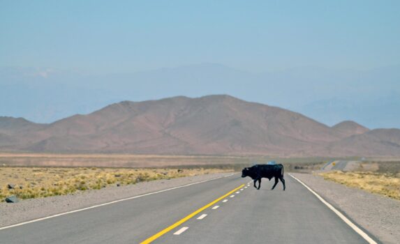 サルタの風景　アルゼンチンの風景