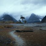 ミルフォードサウンドの風景　テアナウ　ニュージーランドの風景
