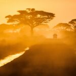カジアドの風景　ケニアの風景