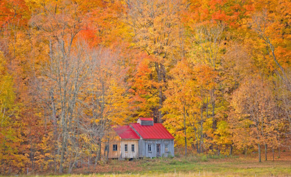 秋の紅葉風景　秋のカナダの風景