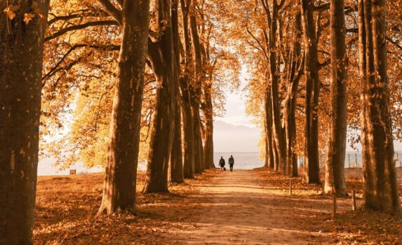 ローザンヌの風景　スイスの風景