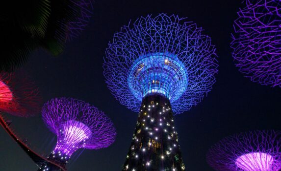 ガーデンズ・バイ・ザ・ベイのスーパーツリー・グローブ　シンガポールの風景