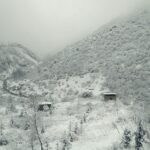 冬のイランの風景　雪のマーザンダラーン州