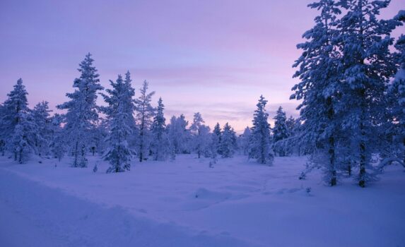 冬の夕暮れのラップランド　冬のフィンランドの風景