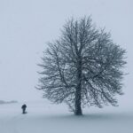 雪のシャケイ　冬のリトアニアの風景