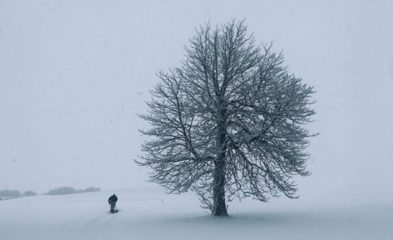 雪のシャケイ　冬のリトアニアの風景